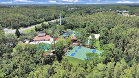 A home in WESLEY CHAPEL