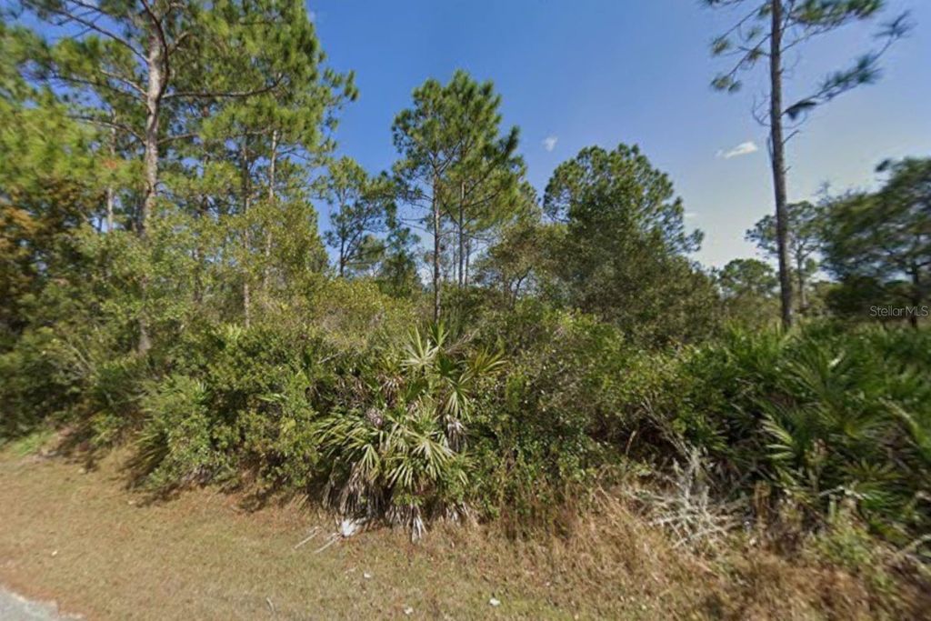 Photo of 25 Ulmaceal Path, Palm Coast, FL 32164 (MLS # TB8496494)