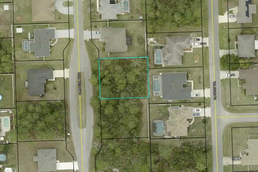 Opportunity to build in the growing Palm Coast community! This .23-acre vacant lot offers a great setting for your future home, surrounded by natural Florida landscape with mature trees providing a sense of privacy. Located on a quiet street with existing homes nearby, this property is ideal for those looking to build now or hold as an investment. Conveniently situated near shopping, dining, schools, and major roadways for easy access throughout the area. Not located in a flood zone, offering added peace of mind. Don’t miss your chance to secure a homesite in an expanding neighborhood.