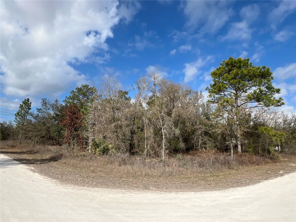 Photo of 16165 Courlan Road, Brooksville, FL 34614 (MLS # TB8463636)