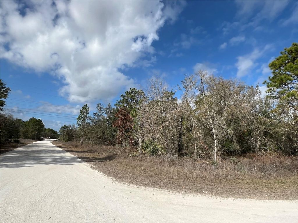 Photo of 16165 Courlan Road, Brooksville, FL 34614 (MLS # TB8463636)
