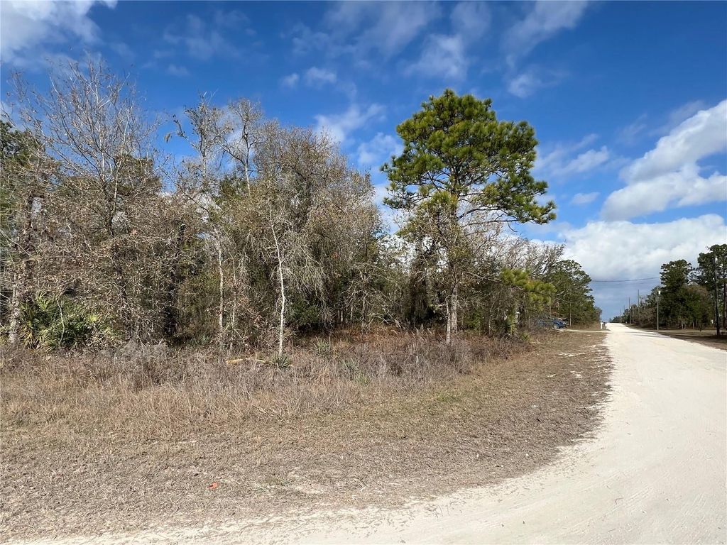 Photo of 16165 Courlan Road, Brooksville, FL 34614 (MLS # TB8463636)