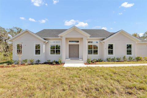 55 HAZELWOOD ROAD DEBARY FL 32713