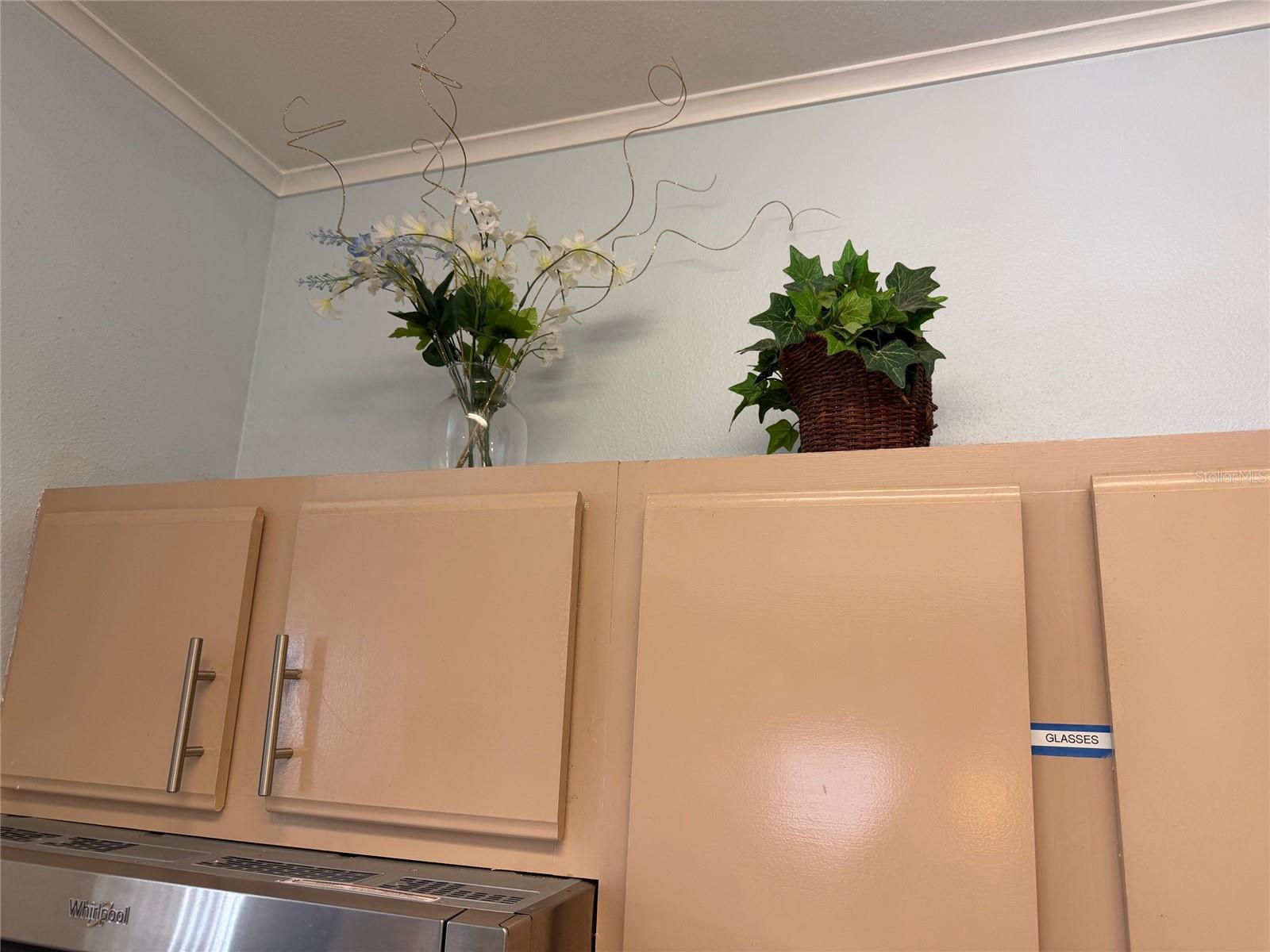 AVALON OF CLEARWATER THE CONDO - Residential