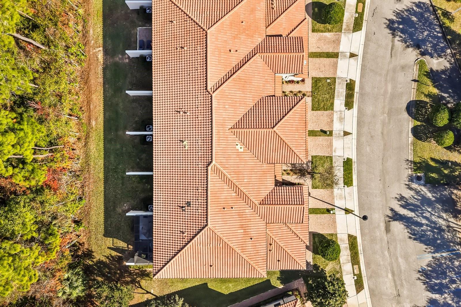 FOUNTAINS AT CHAMPIONSGATE PH 1 REP - Residential