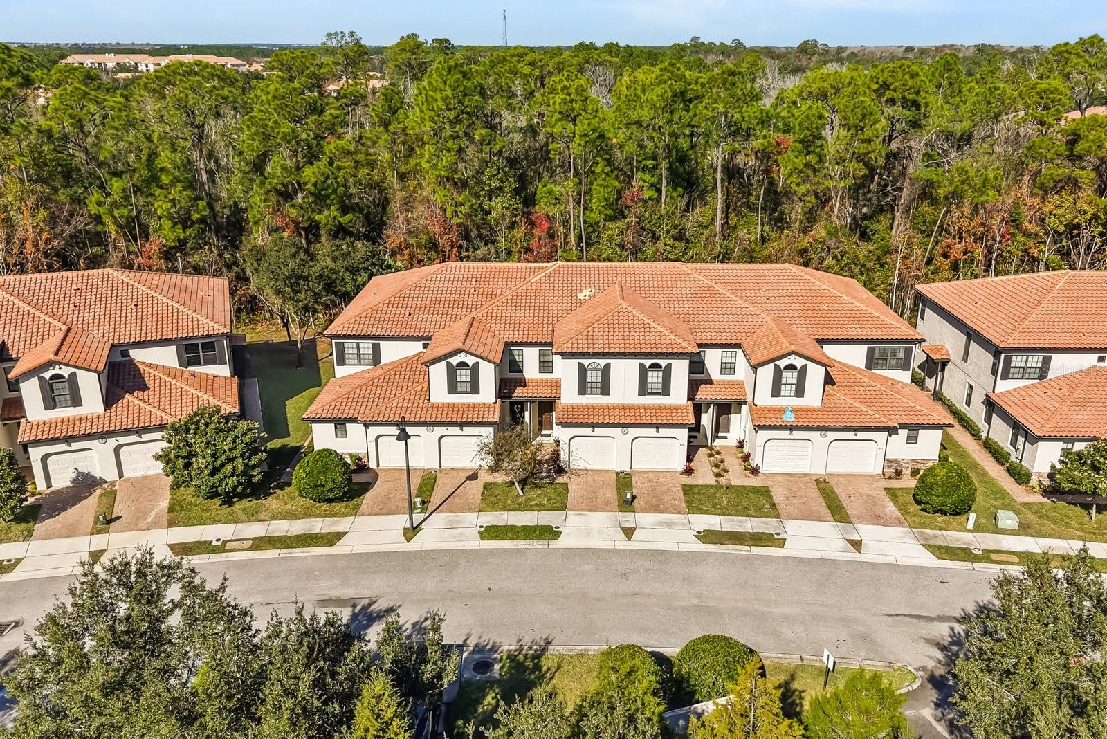 FOUNTAINS AT CHAMPIONSGATE PH 1 REP - Residential