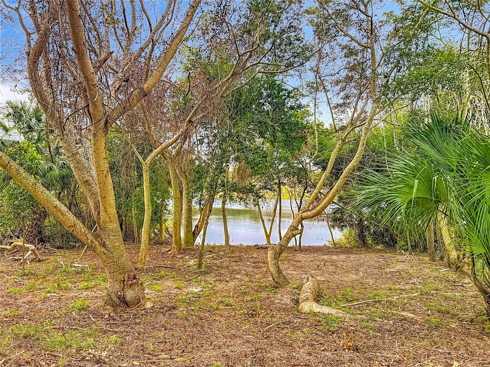 EAST LAKE ESTATES - Residential Lease