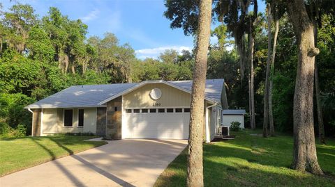 A home in NEW SMYRNA BEACH