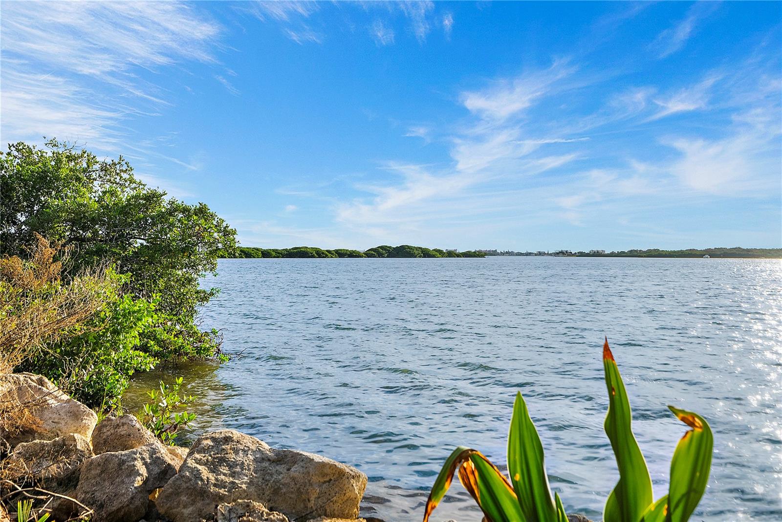 JUNGLE SHORES 2 - Residential