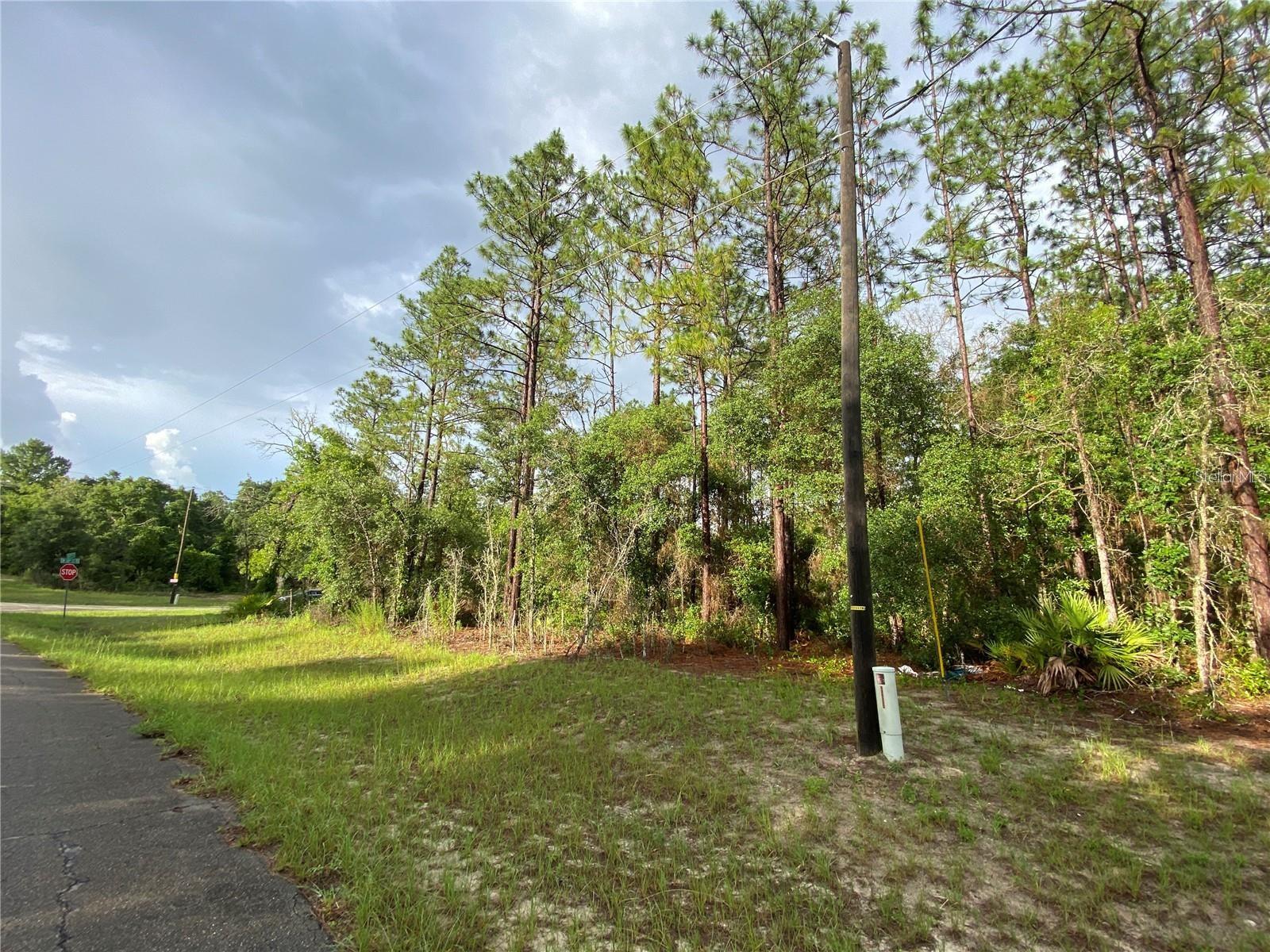 MARION OAKS UN 11 - Land