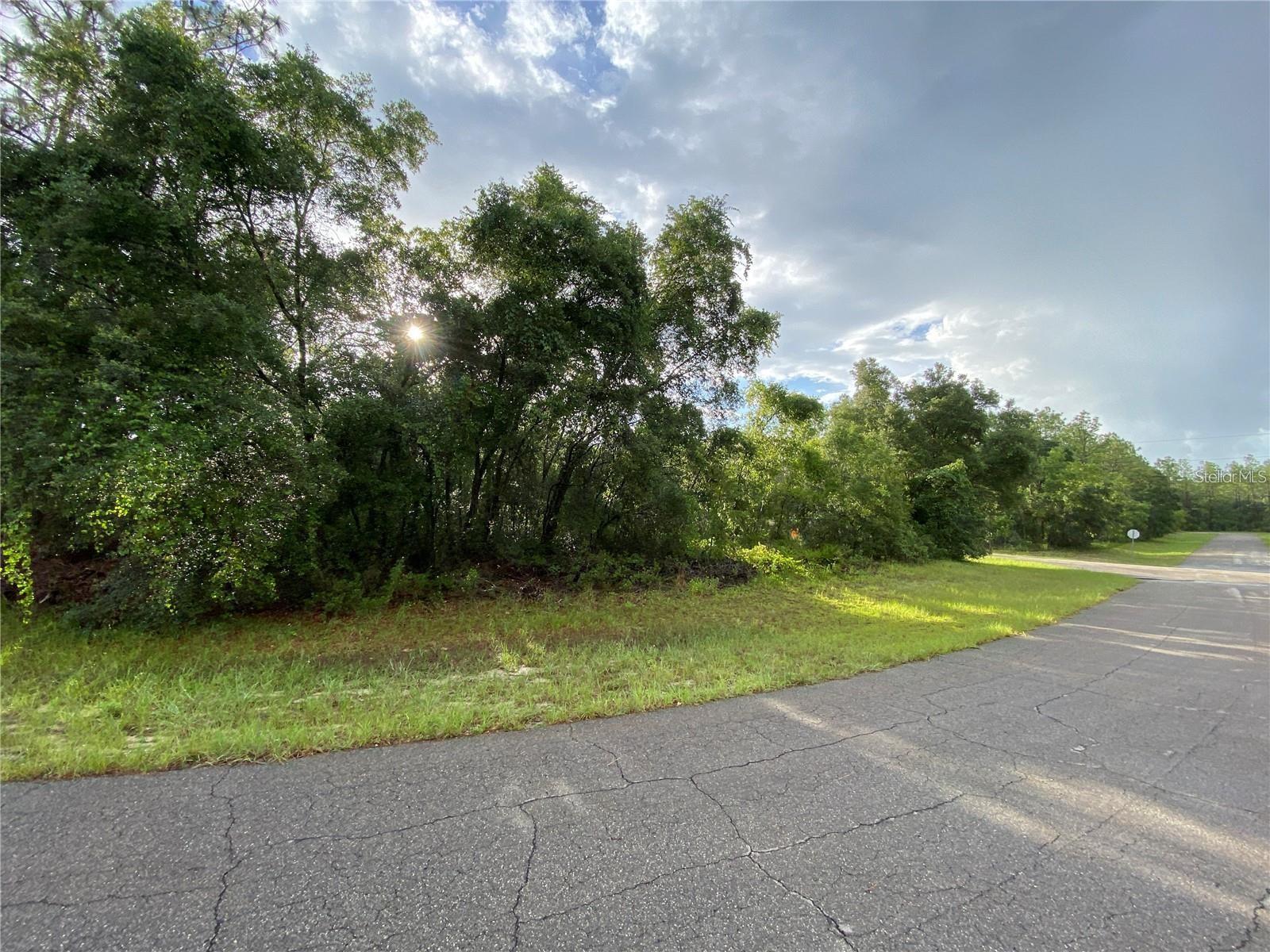 MARION OAKS UN 11 - Land