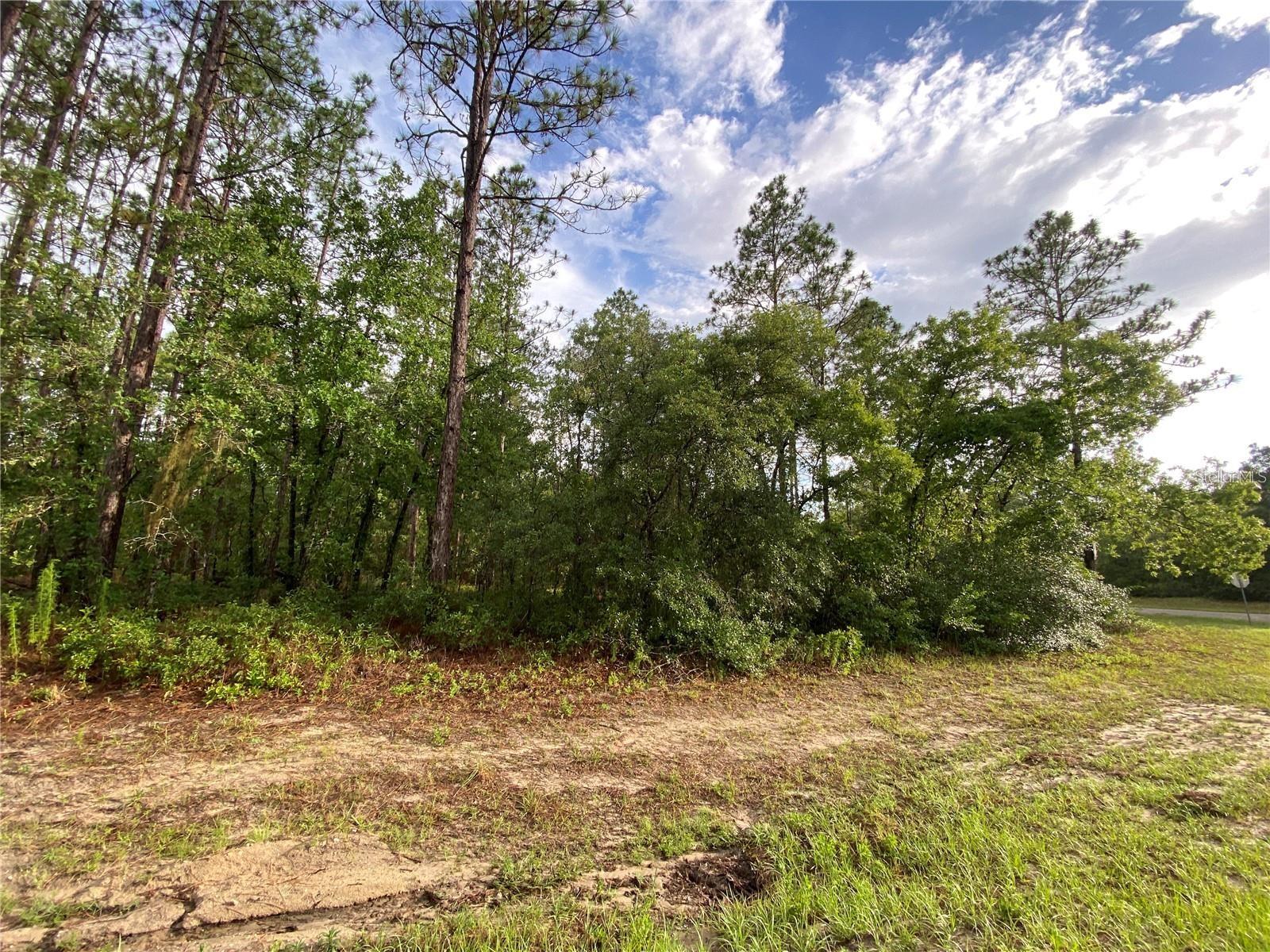 MARION OAKS UN 11 - Land