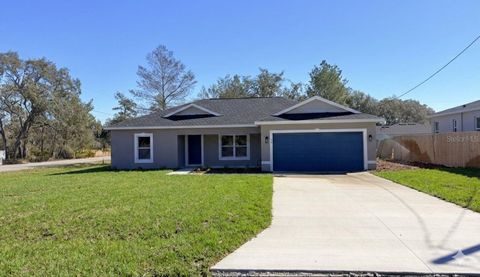 Photo of 77 Malauka Pass, Ocklawaha, FL 32179 (MLS # O6385766)