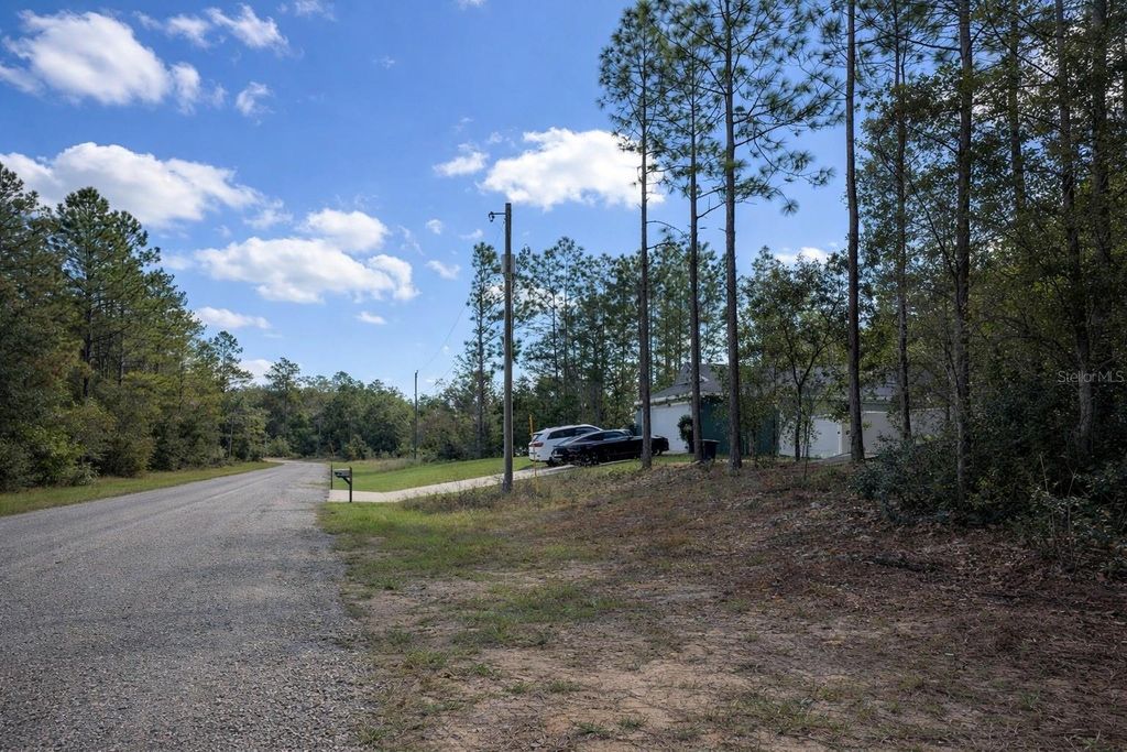 Photo of 602 E Nemo Drive, Dunnellon, FL 34434 (MLS # O6385795)