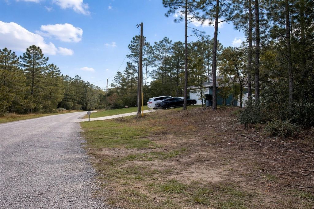 Photo of 602 E Nemo Drive, Dunnellon, FL 34434 (MLS # O6385795)