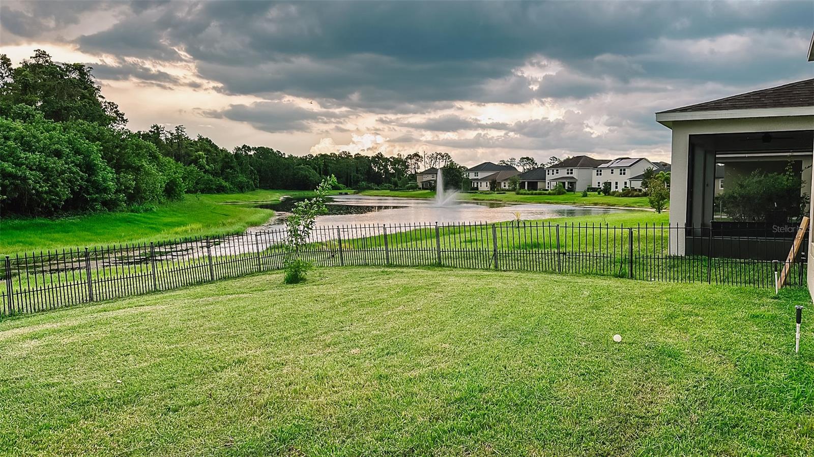 5169 DOVE TREE