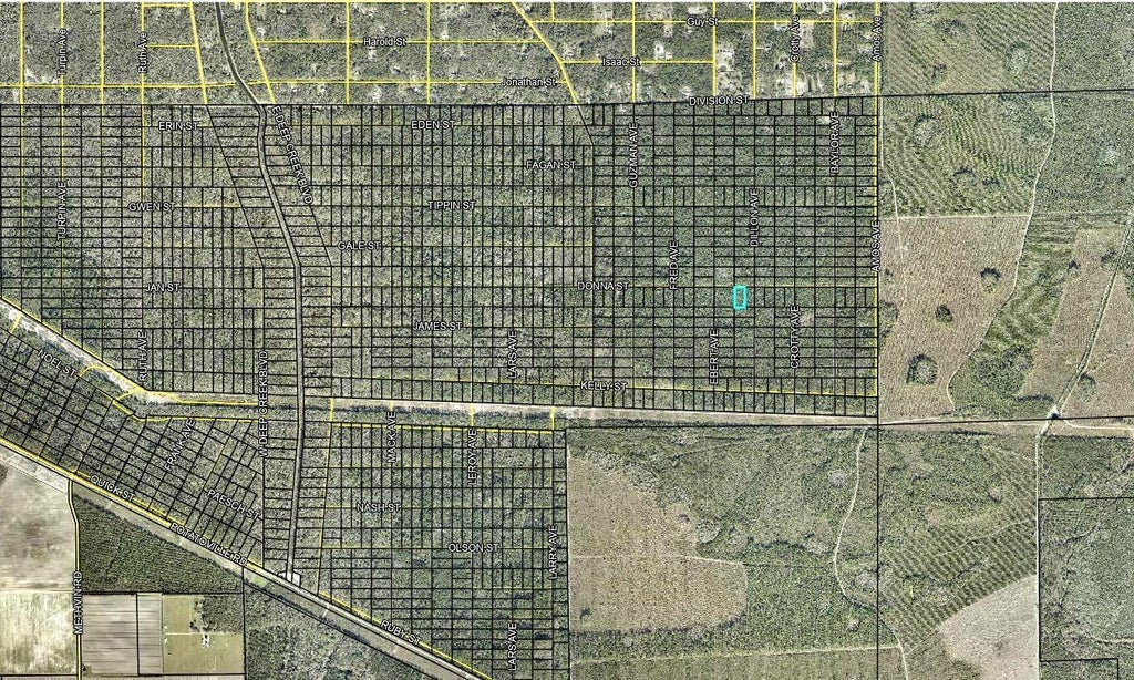 Photo of 207 Donna Street, Hastings, FL 32145 (MLS # FC321878)