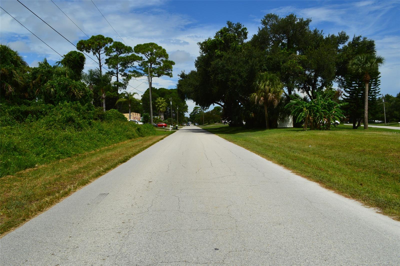 Florida Shores 01 - Land