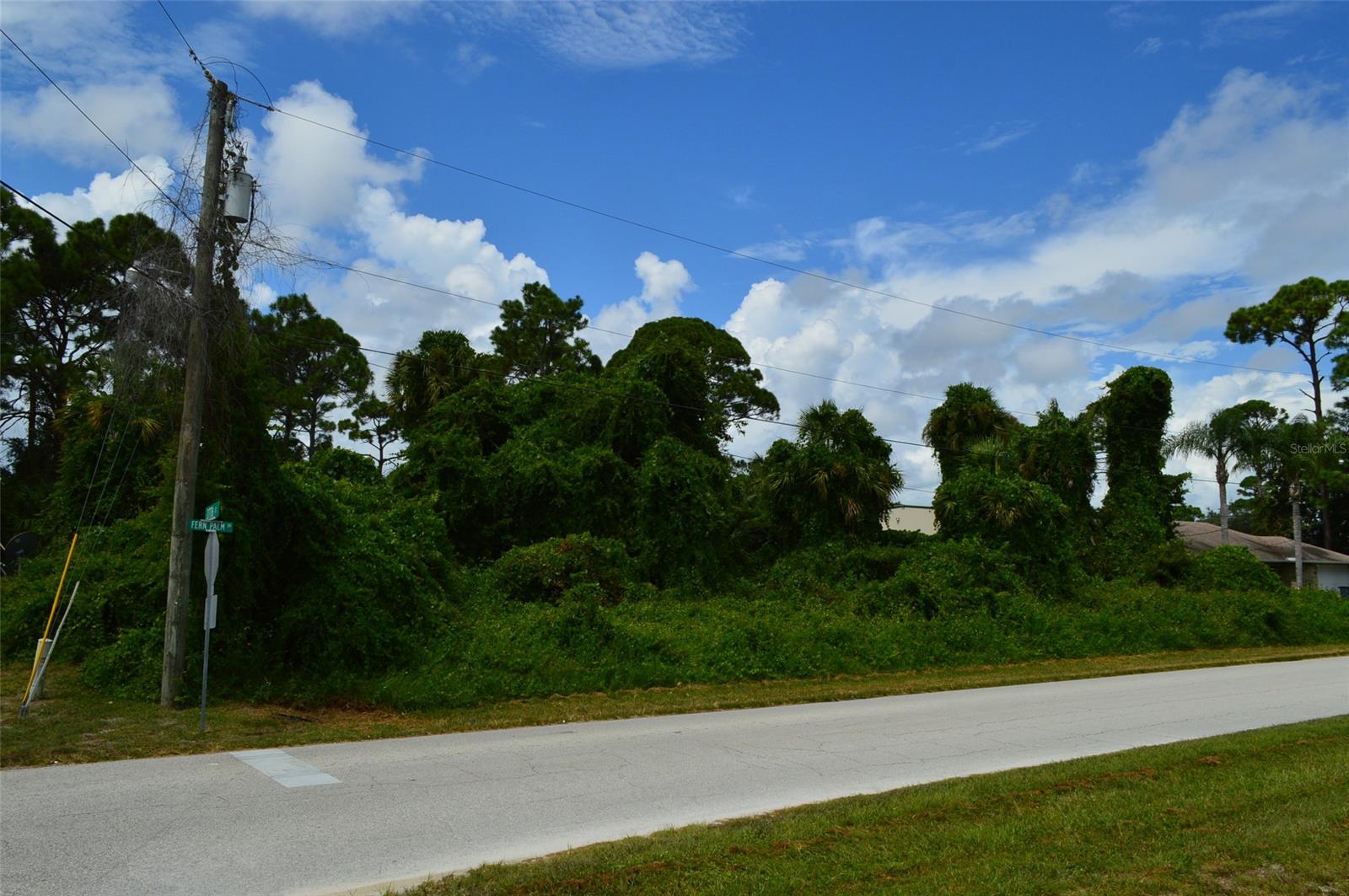 Florida Shores 01 - Land