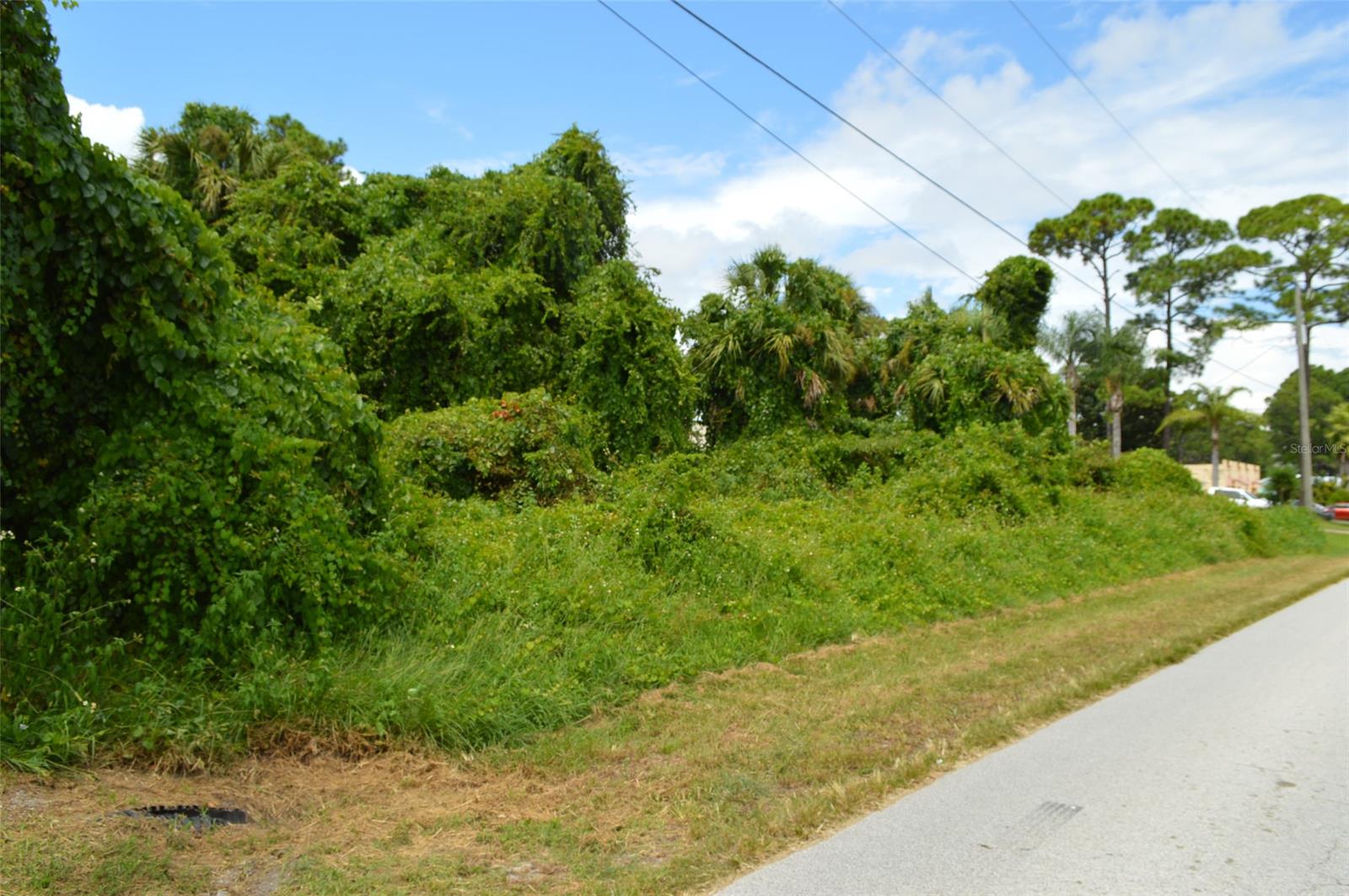 Florida Shores 01 - Land