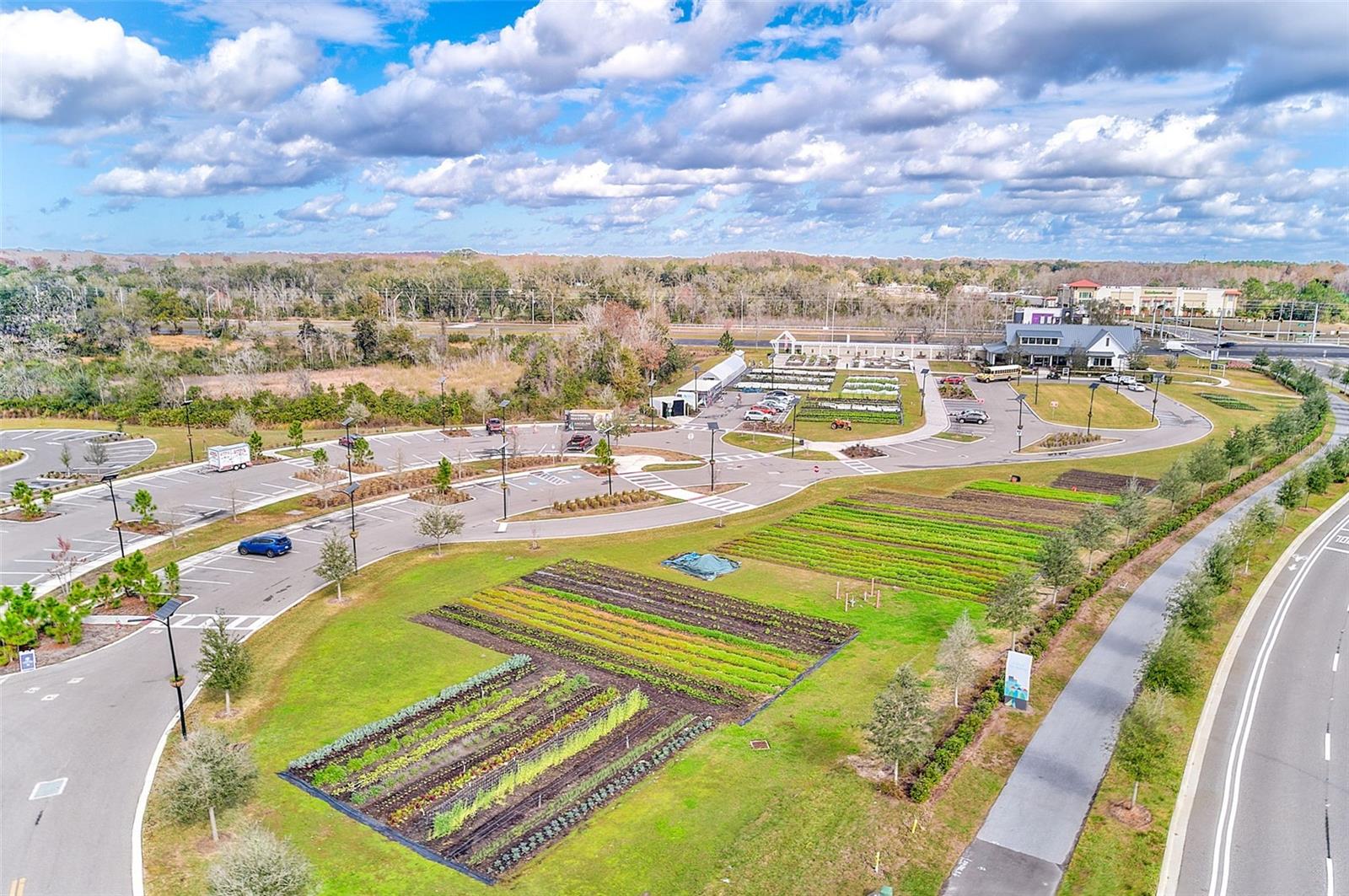 ANGELINE - Residential