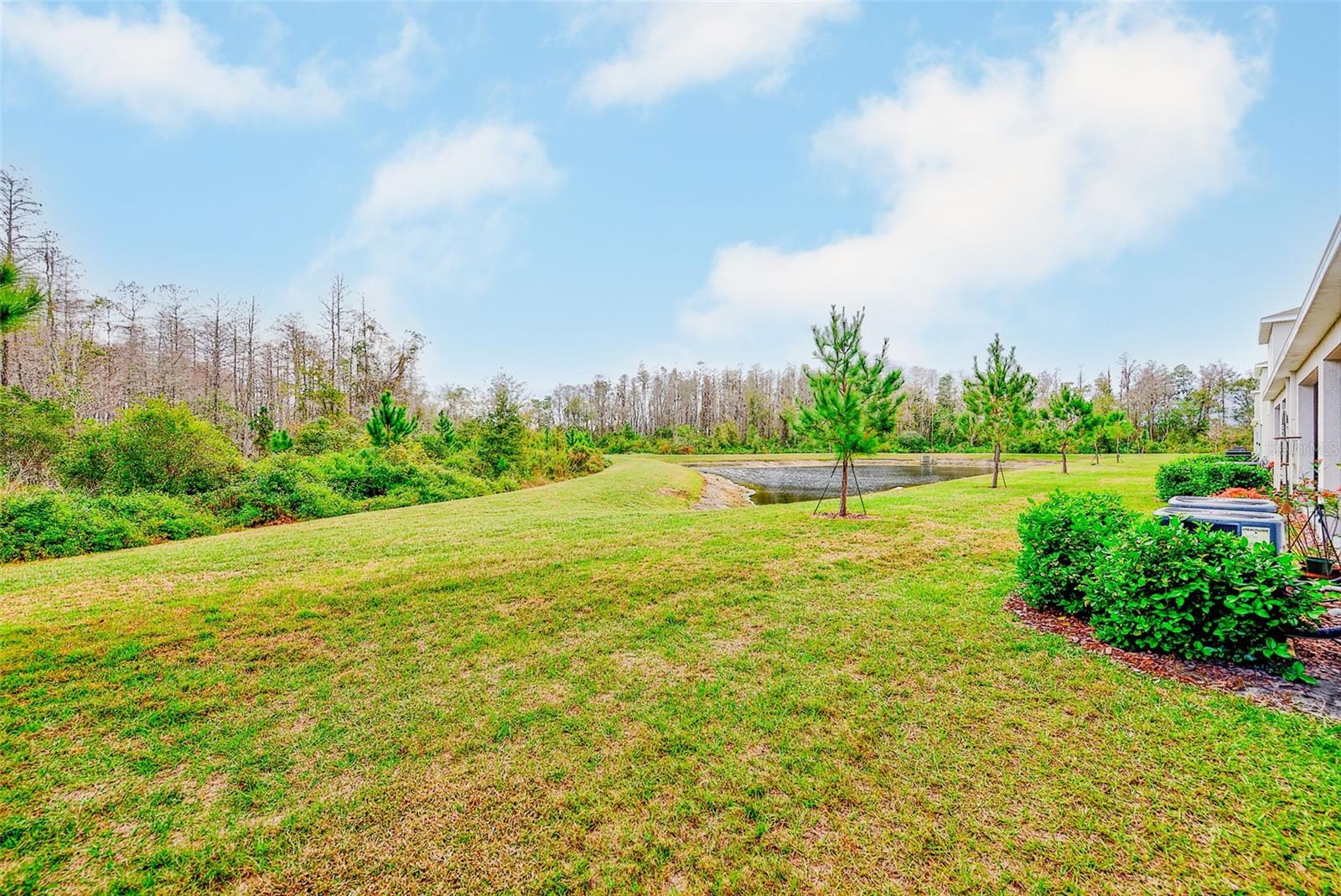 ANGELINE - Residential