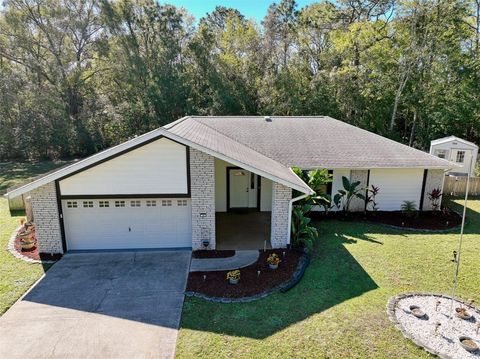 A home in HOMOSASSA