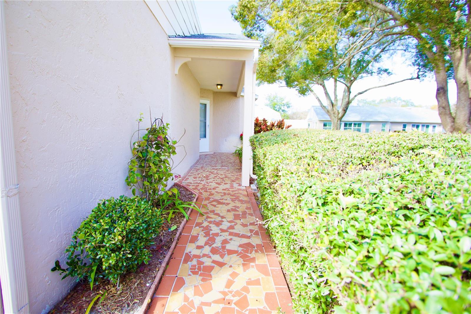 WEDGWOOD VILLAGE CONDO - Residential