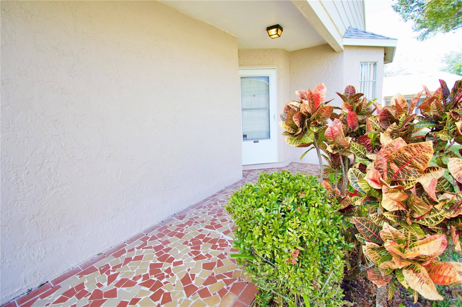 WEDGWOOD VILLAGE CONDO - Residential