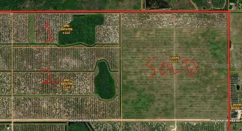 7650 HOLOPAW GROVES ROAD ST CLOUD FL 34773
