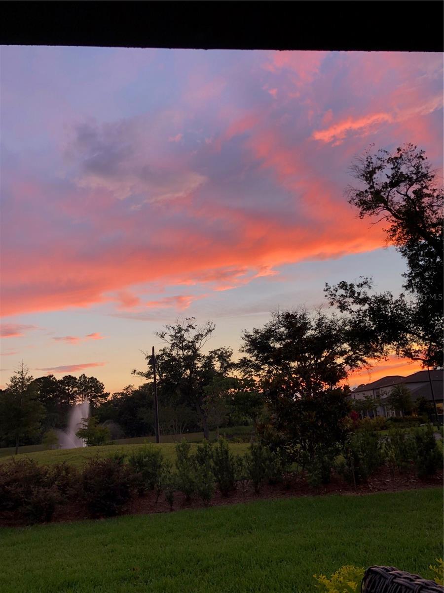 MEADOWS AT HAWKS CREST - Residential