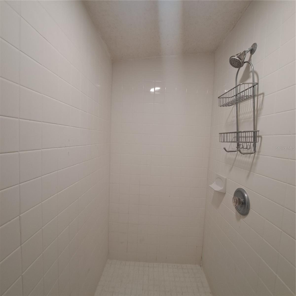 FORREST BLUFF K & H REP - Residential Lease