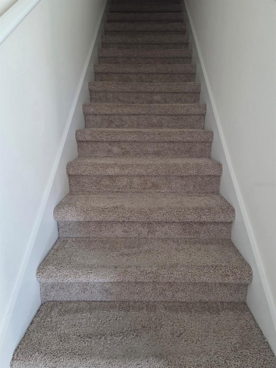 THOMPSON GROVE - Residential