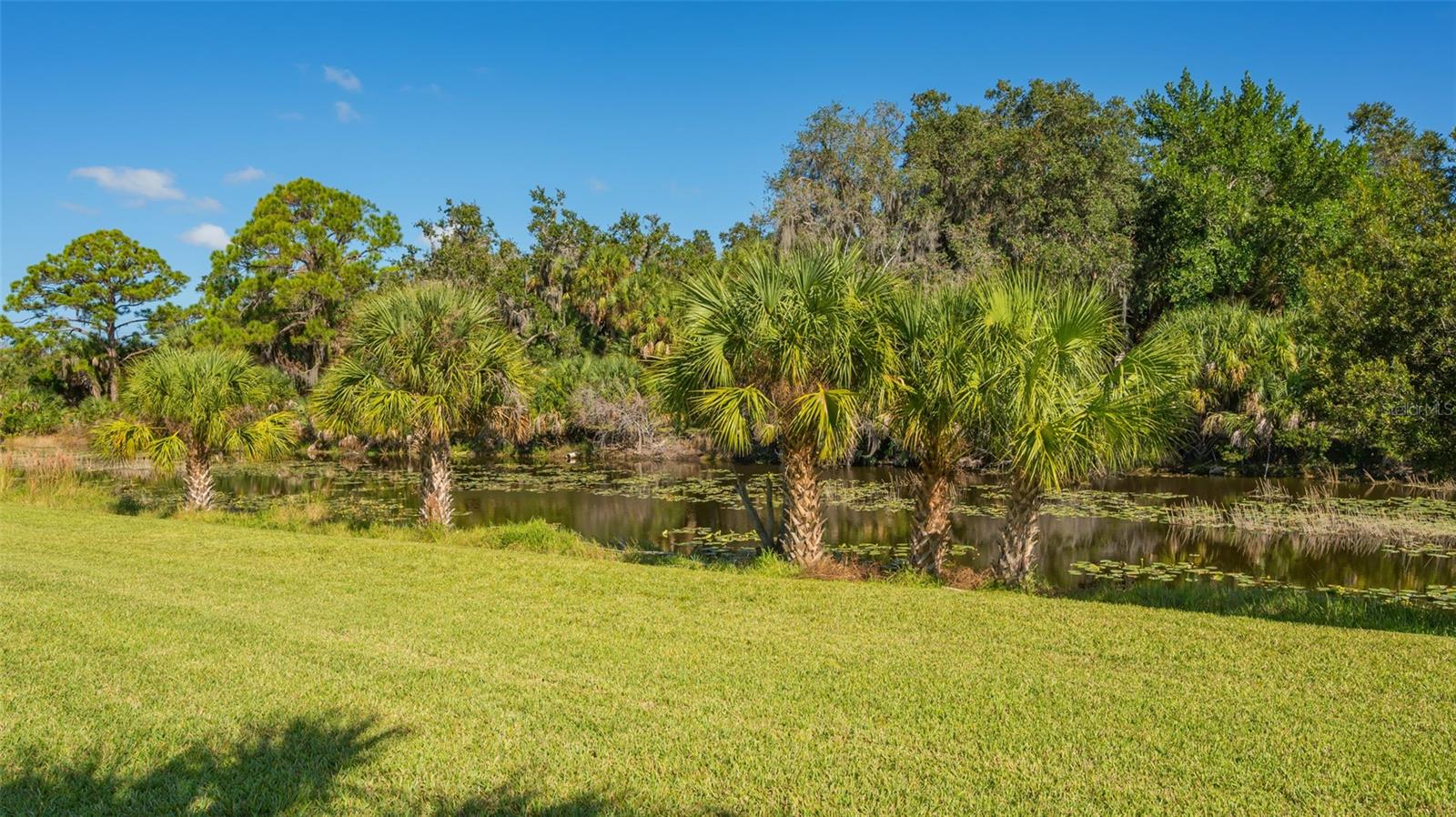 SANDHILL PRESERVE - Residential