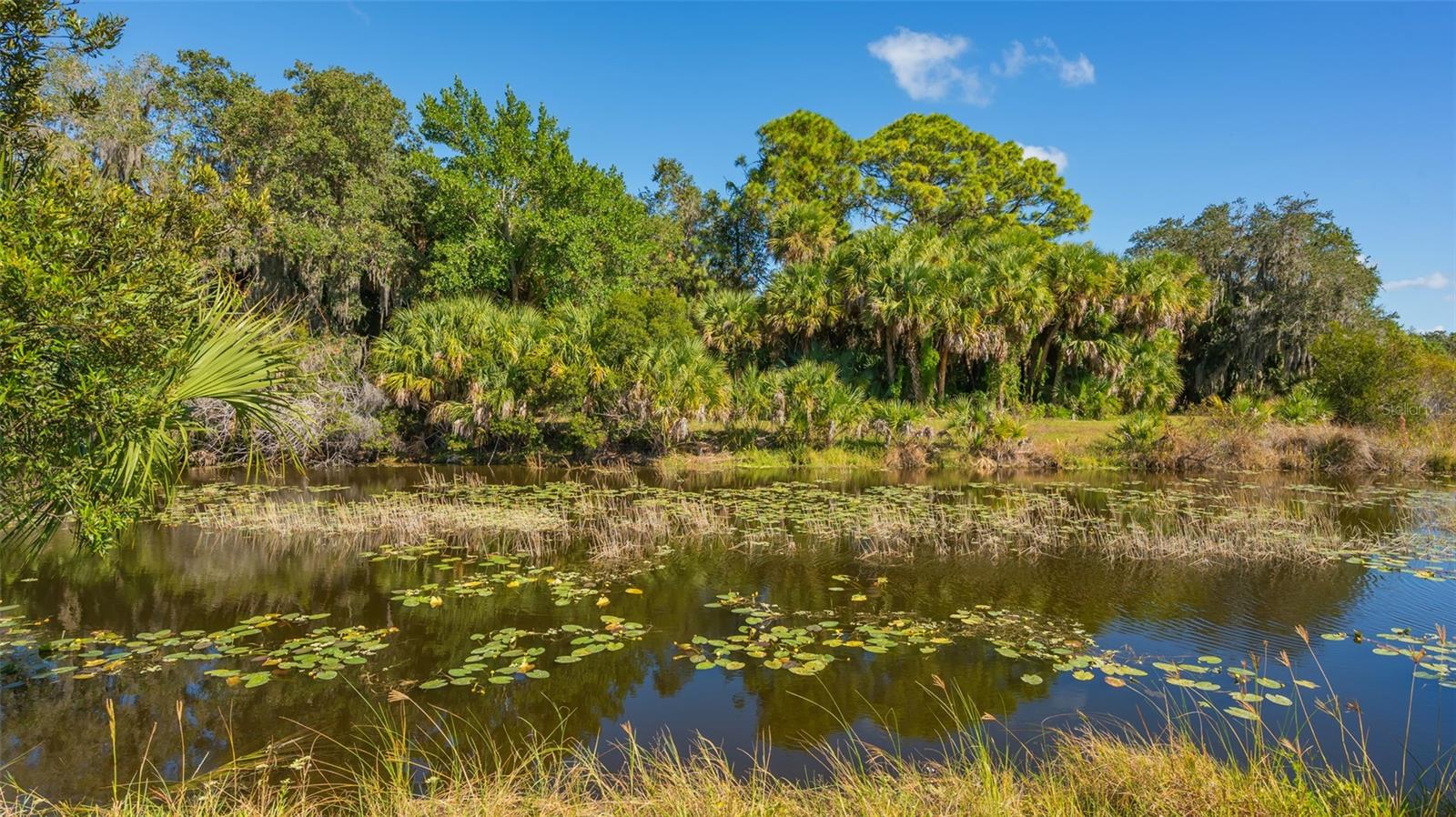 SANDHILL PRESERVE - Residential