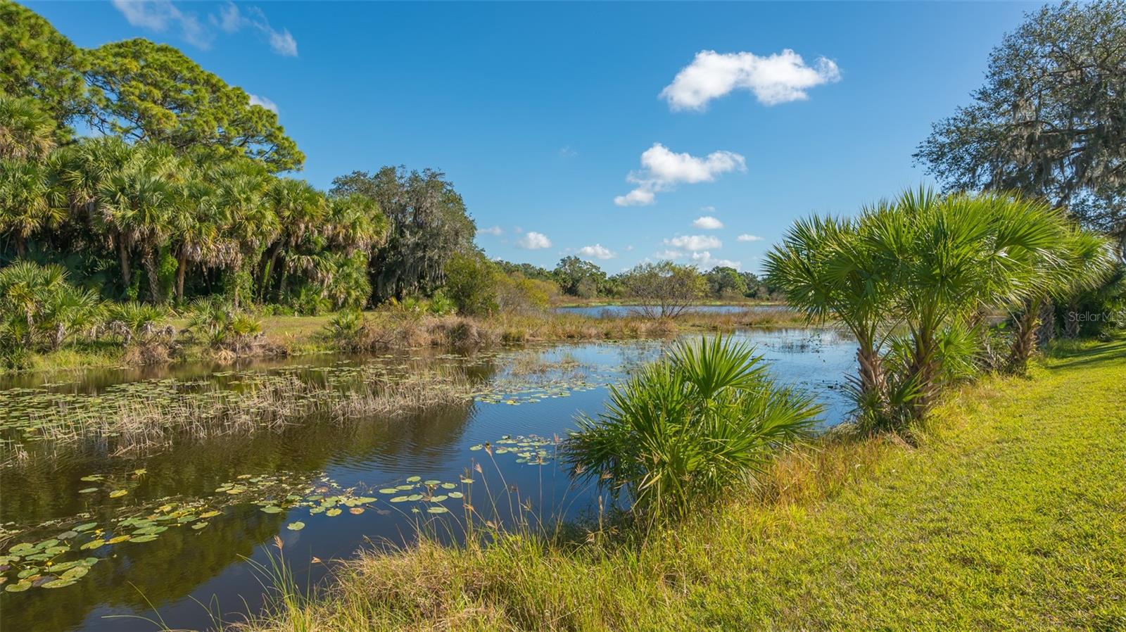 SANDHILL PRESERVE - Residential
