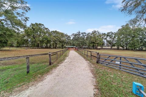 Tiny photo for 7025 NW 5th Lane, Ocala, FL 34482 (MLS # OM694814)