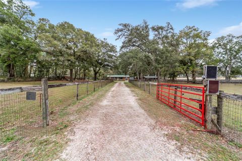 Tiny photo for 7025 NW 5th Lane, Ocala, FL 34482 (MLS # OM694814)