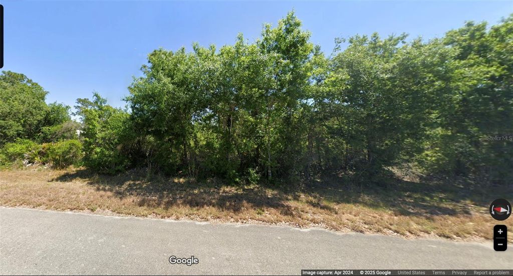 Photo of 458 Brawin Avenue, Lake Placid, FL 33852 (MLS # L4951713)