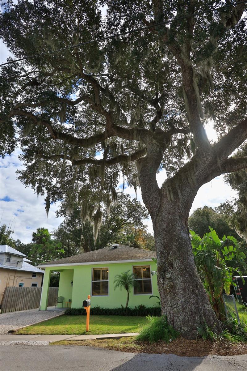 Marshall Park New Smyrna - Residential