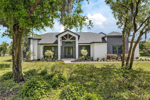 Photo of 16410 Alderman Turner Road, Wimauma, FL 33598 (MLS # TB8497672)