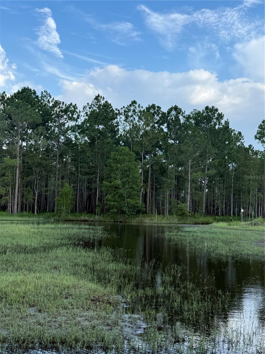 HOLOPAW GROVES ROAD Lot 99 & 100