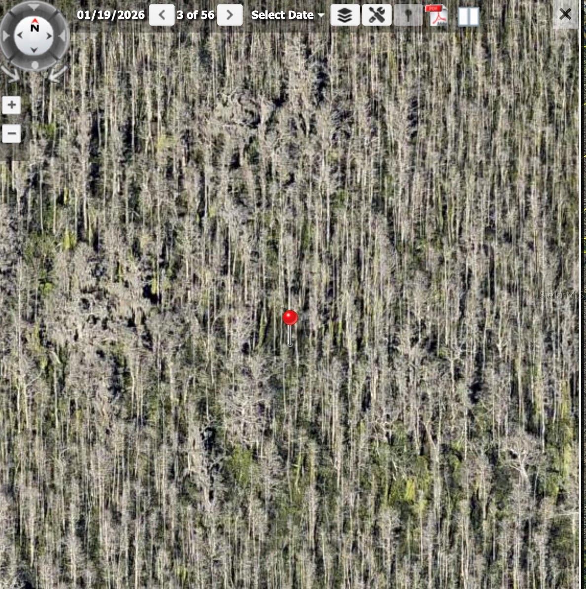 HOLOPAW GROVES ROAD