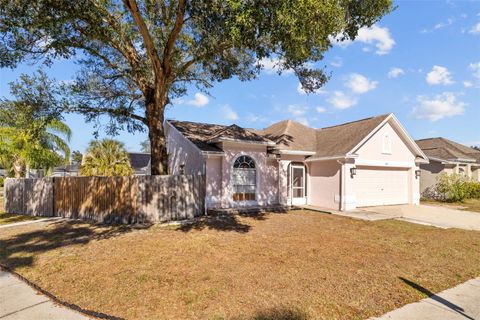 A home in VALRICO