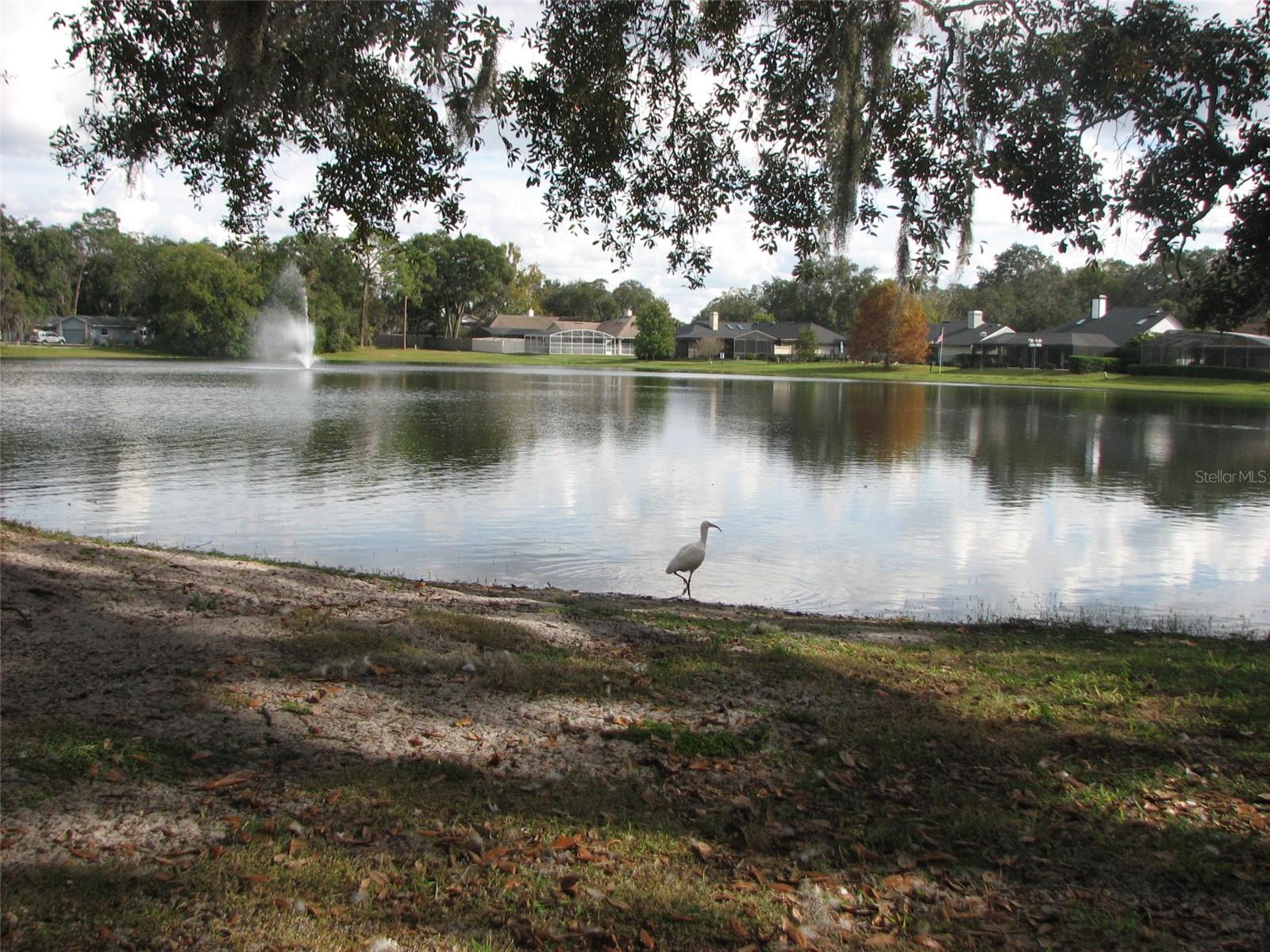 WEKIVA SEC 03 - Residential