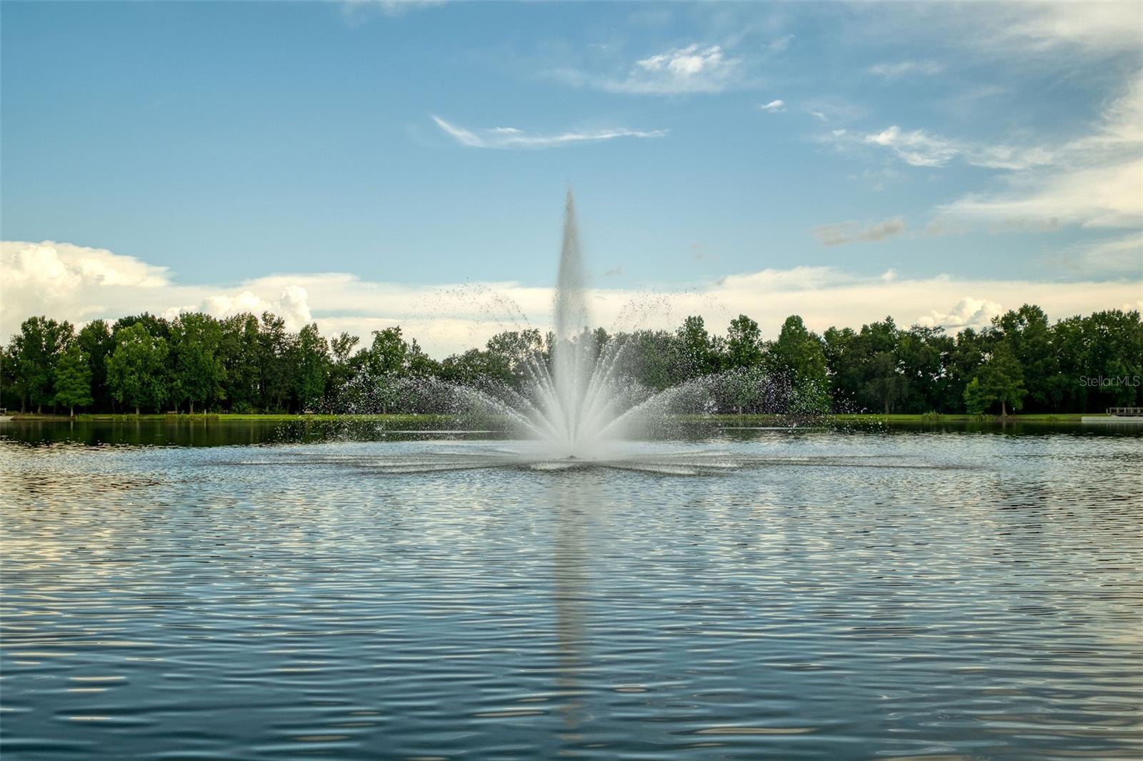 CELEBRATION ROSEVILLE - Residential