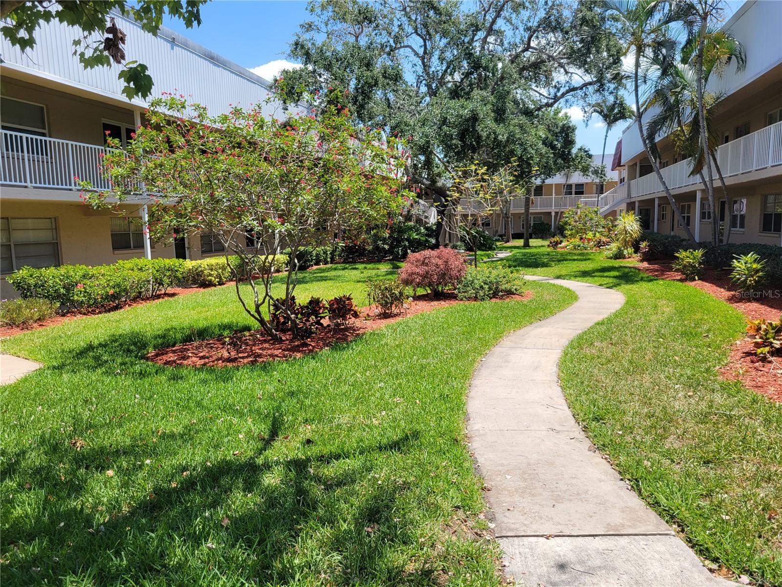 Outstanding Long Bayou rental. Beautiful waterfront community of Long Bayou is waiting. 1 Bedroom rental with bonus Florida Room. Florida Room has pull down murphy bed for additional sleeping accommodations. Very nice layout with separate living spaces in front and rear of the unit. This unit does come partially furnished. Such a nice complex with plenty of amenities. This is a much see 55+ unit.
