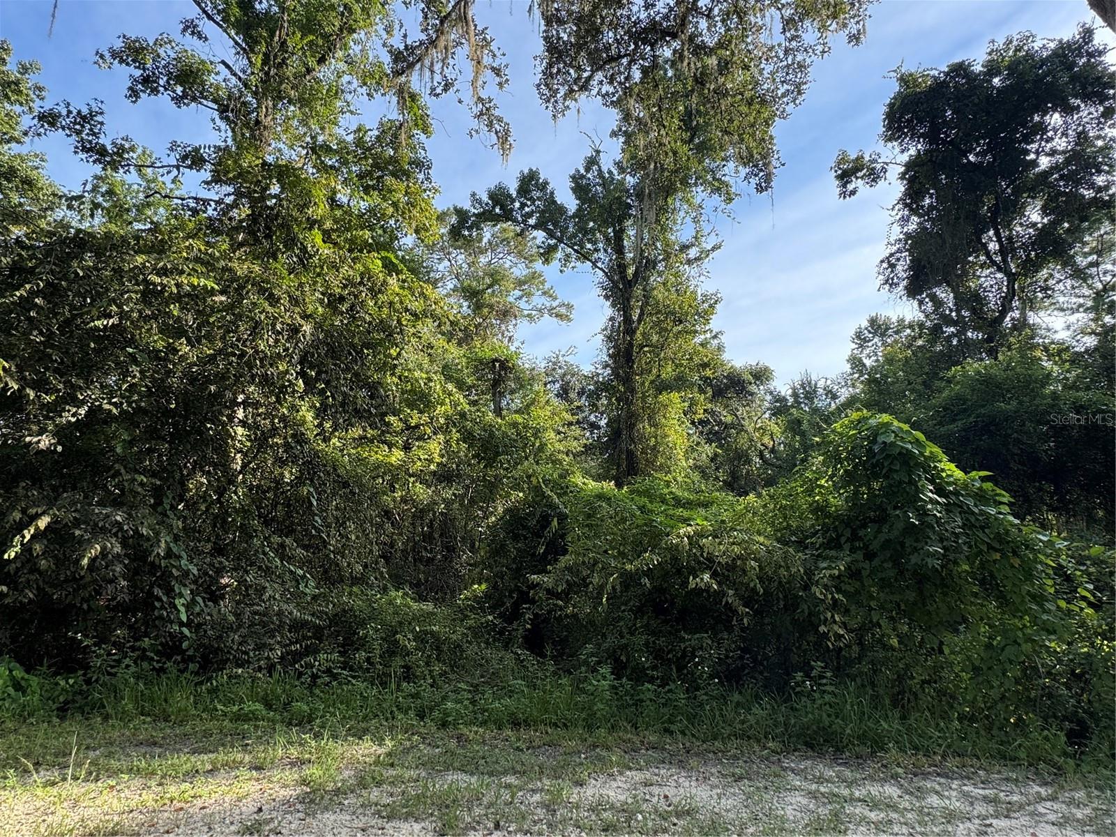 Discover the perfect spot to bring your vision to life! This beautiful vacant lot on Barth Rd offers the ideal blend of rural charm and convenient access to all that Dade City has to offer. Whether you’re dreaming of building your custom home, starting a small farm, or simply investing in Florida land, this property is a fantastic opportunity.
Nestled among peaceful surroundings, you’ll enjoy the quiet country lifestyle while still being just minutes from downtown Dade City, local shops, dining, and schools. With easy access to major roadways, you’re never far from Tampa, Wesley Chapel, or Orlando.
This lot provides a blank canvas—bring your builder, your plans, and your dreams!
- Peaceful location with plenty of space
- Close to shopping, dining & schools
- Easy access to Tampa & surrounding areas
- Endless possibilities for use
Don’t miss your chance to own a piece of Florida’s countryside in growing Dade City!