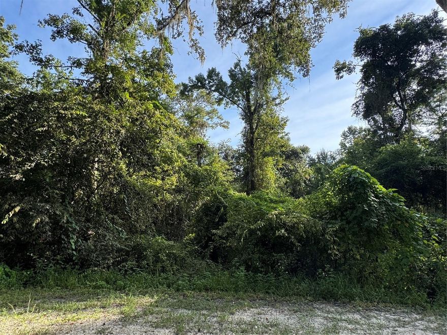 Discover the perfect spot to bring your vision to life! This beautiful vacant lot on Barth Rd offers the ideal blend of rural charm and convenient access to all that Dade City has to offer. Whether you’re dreaming of building your custom home, starting a small farm, or simply investing in Florida land, this property is a fantastic opportunity.

Nestled among peaceful surroundings, you’ll enjoy the quiet country lifestyle while still being just minutes from downtown Dade City, local shops, dining, and schools. With easy access to major roadways, you’re never far from Tampa, Wesley Chapel, or Orlando.

This lot provides a blank canvas—bring your builder, your plans, and your dreams!

- Peaceful location with plenty of space
- Close to shopping, dining & schools
- Easy access to Tampa & surrounding areas
- Endless possibilities for use

Don’t miss your chance to own a piece of Florida’s countryside in growing Dade City!