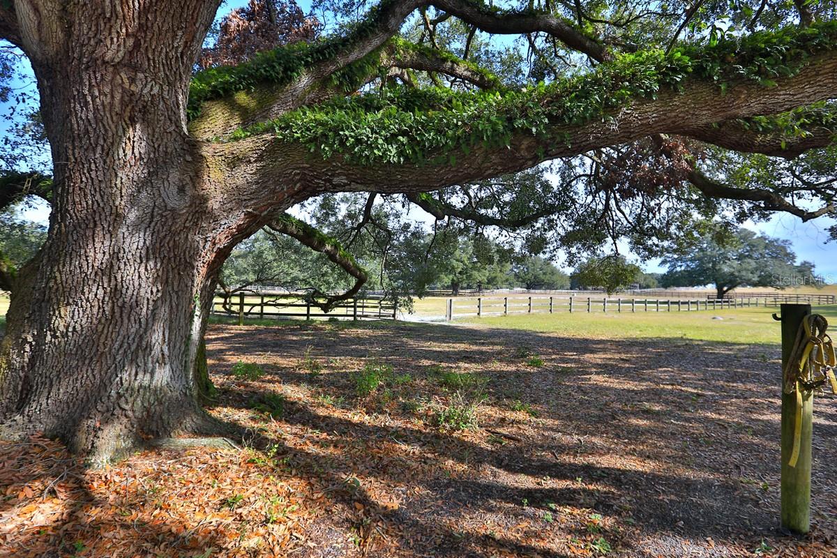 ACREAGE NON-SUBDIVISION - Residential